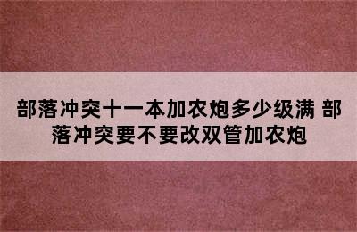 部落冲突十一本加农炮多少级满 部落冲突要不要改双管加农炮